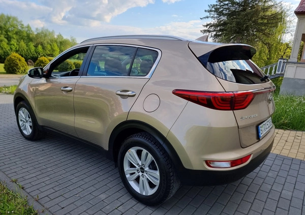 Kia Sportage cena 68900 przebieg: 104000, rok produkcji 2016 z Strzelce Opolskie małe 466